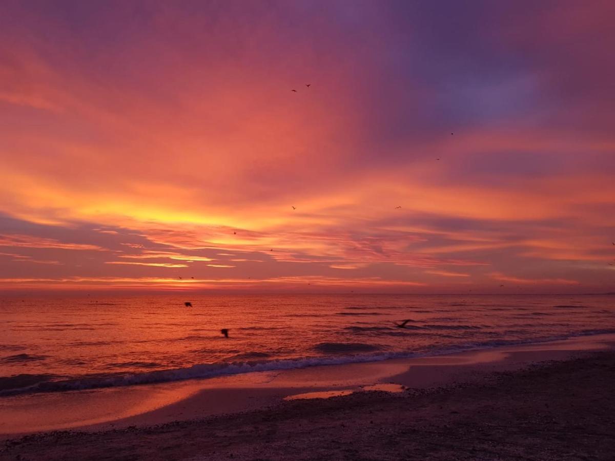 Caesar'S Studio Mamaia-Nord Kültér fotó
